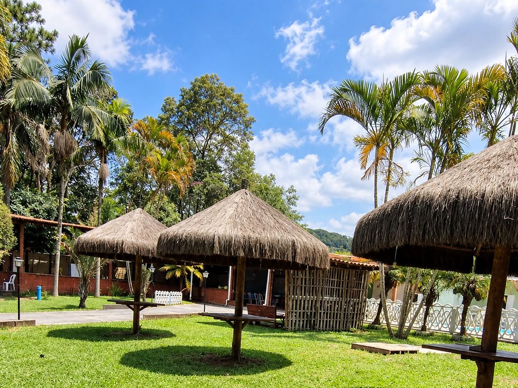 Comunidade terapêutica em Suzano – Passos de Francisco